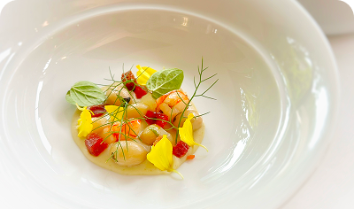 Plat gastronomique