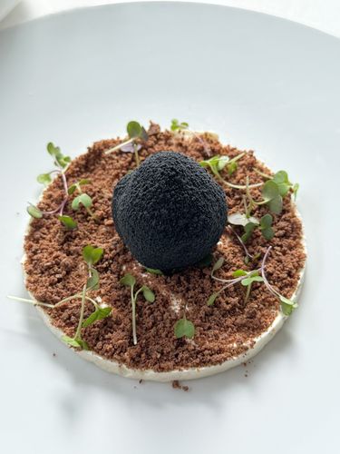 Plat gastronomique