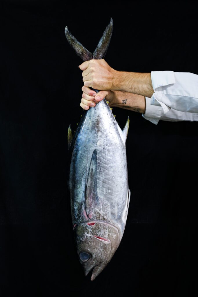 Tuna presented by the chef