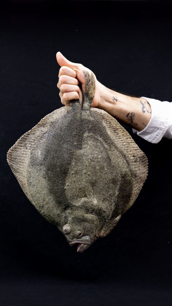 Turbot presented by the chef